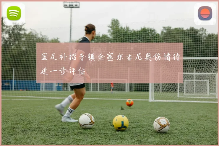 国足补招李镇全塞尔吉尼奥伤情待进一步评估
