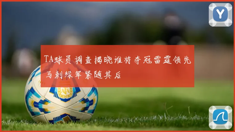 TA球员调查揭晓谁将夺冠雷霆领先马刺绿军紧随其后